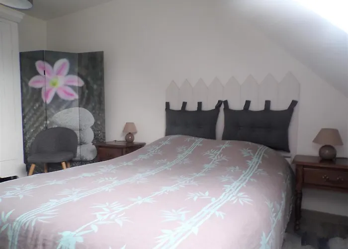 Orchidee