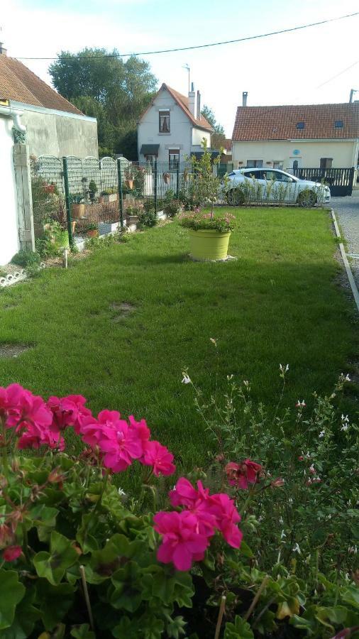 Orchidee * Berck